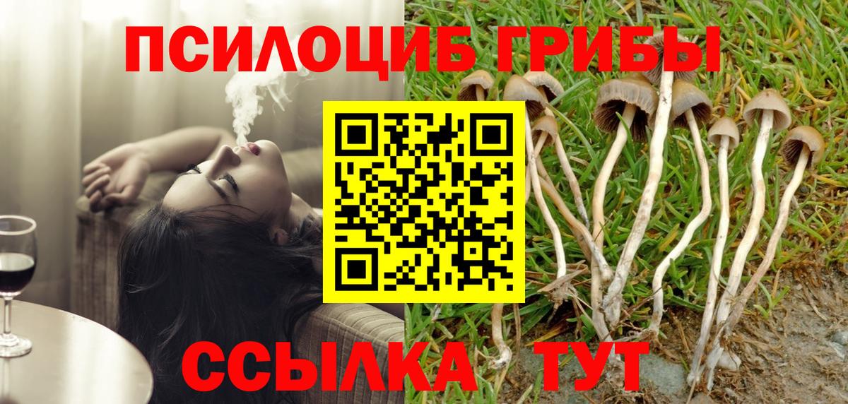 Галлюциногенные грибы Psilocybine cubensis  Вход с VPN  Сердобск 